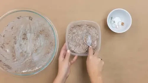 bury dinosaur figurines in bowl with plaster mix