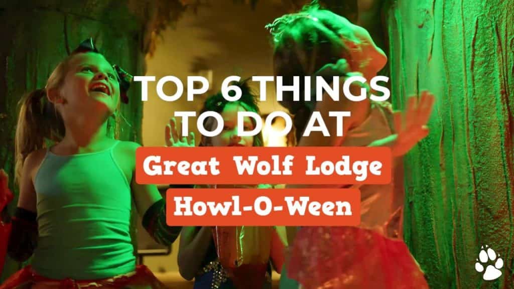 25th Birthday Coloring Page Activity | Arts &amp; Crafts | Great Wolf Lodge